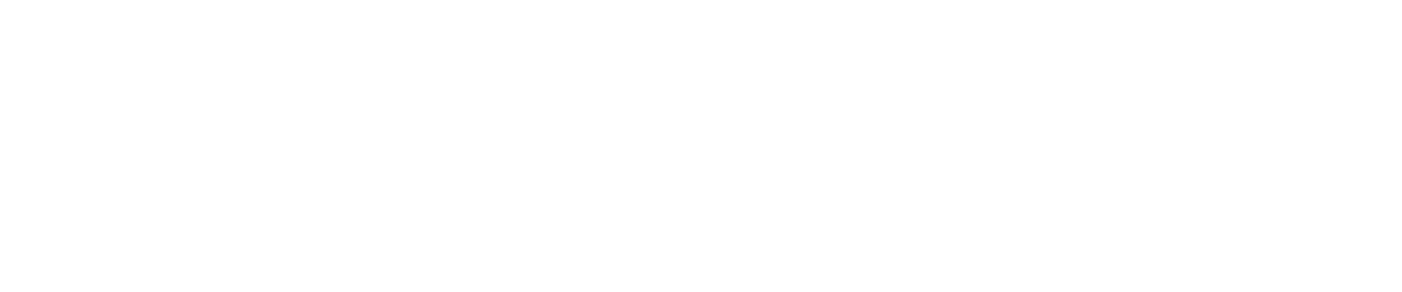 Bluewave Infotech Client Fanatics